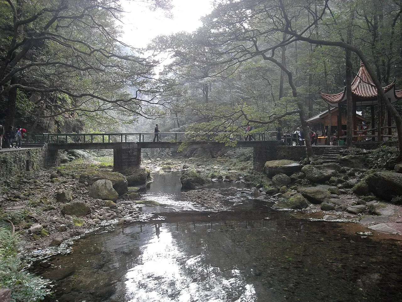 A bridge, stone path and steps beside Golden Whip Stream in a wooded valley
