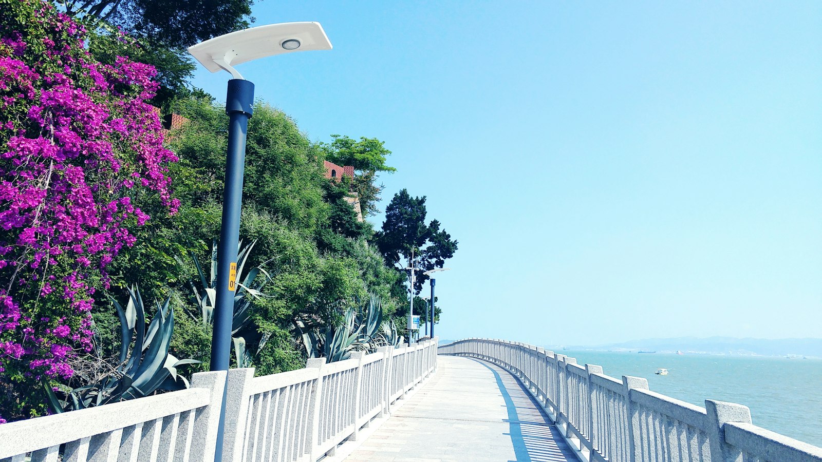 A coastal walkway with flowering plants along Xiamen’s Huandao Road