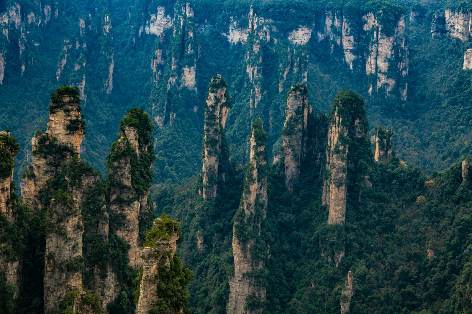 Forest-covered sandstone pillars in Zhangjiajie’s Wulingyuan landscape